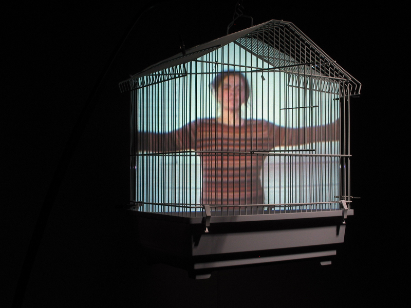 battements, installation vidéo de manon labrecque,corps,cage,oiseau, emprisonnement