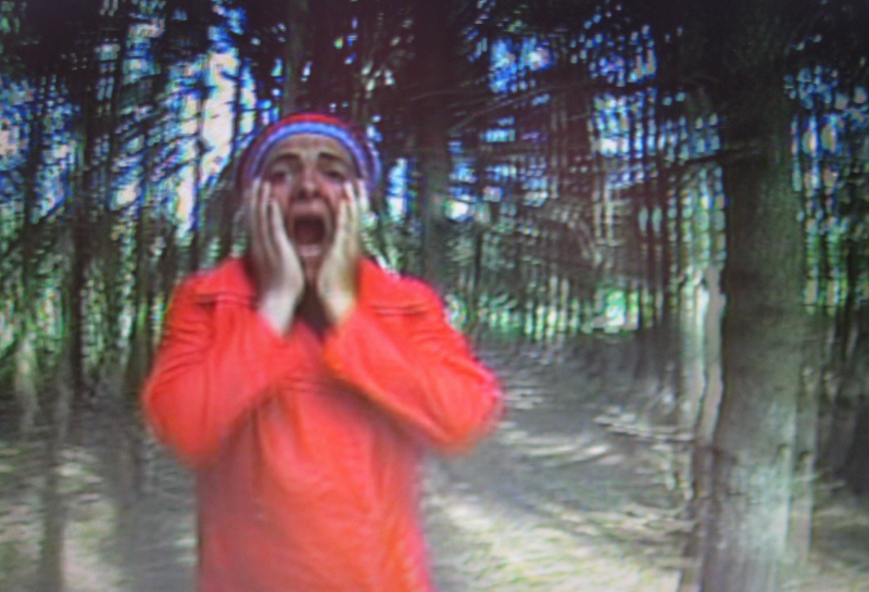 cri,installation vidéo de manon labrecque,edvar munch,tremblements