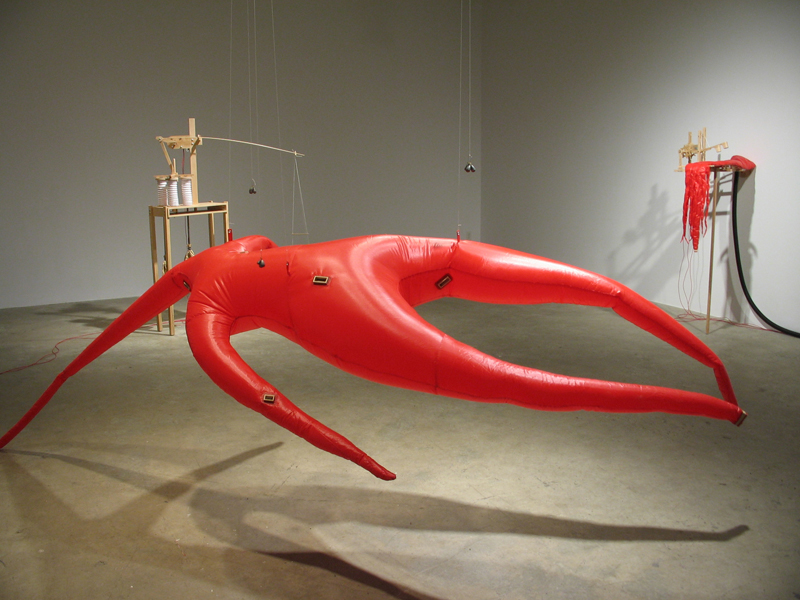 manon-labrecque-installation-guerisons-01