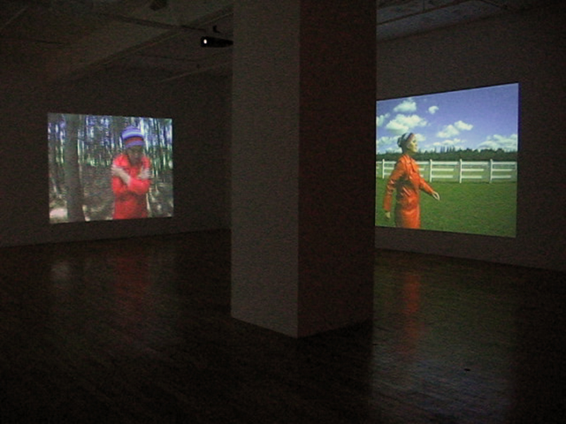 mécaniques affectives,installation vidéo de manon labrecque,mécanismes,corps,photographique,mouvements,machines