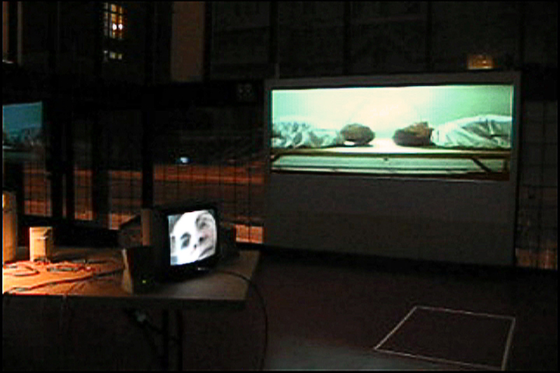 manon-labrecque-installation-neutralite-02