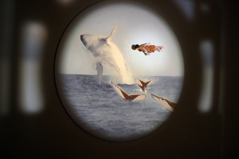 les traversées,installation cinétique et sonore de manon labrecque,mécanismes,images,corps,flute,paysages,lanterne magique