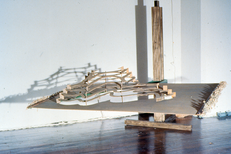 gravité,performance dans installation de diane dubeau et manon labrecque, mouvement perpétuel,topographie,loi gravitationnelle